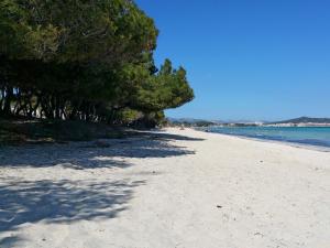 Остров отдыха Райский отдых на пляжах Фернанду-ди-Норонья